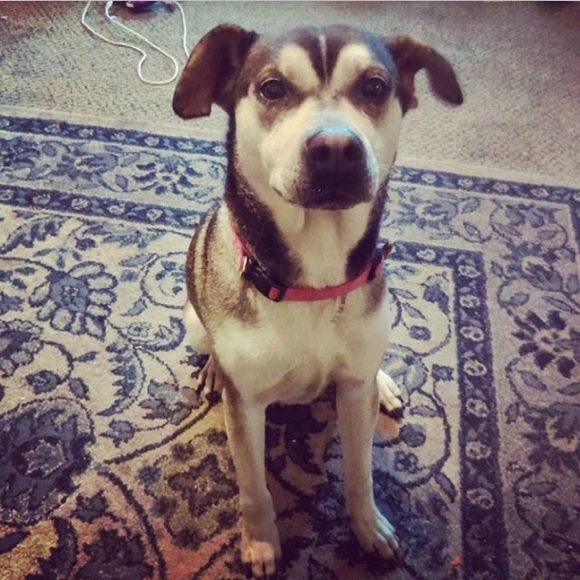 Meet the seller - Picture 7 of 7